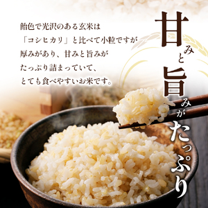 令和8年産　新米「ヒノヒカリ」30kg（玄米） お米 30kg 