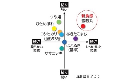 R7年産 無洗 米 雪若丸 キューブ 2合 40個 12kg 小分け 山形 真空 0059-2514