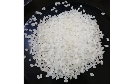 R7年産 無洗 米 キューブ つや姫 雪若丸 詰合せ 2合 40個 12kg 0059-2516