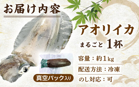 長崎県 対馬産 天然 アオリイカ 1杯 [WCN003]新鮮 冷凍 直送 イカ 水イカ 刺身 煮付け 