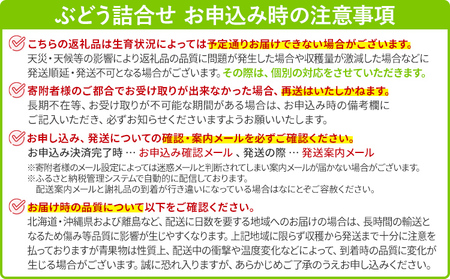 【ふるなびWEEK対象】選べる ぶどう詰合せ（シャインマスカット＋珍しいぶどう） シャインマスカット ナガノパープル クイーンニーナ グロースクローネ 瀬戸ジャイアンツ 雄宝 マイハート 福岡県 九州 お取り寄せ 8月中旬～9月下旬順次発送