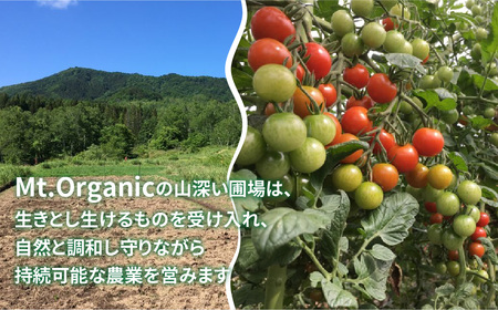 有機ミニトマト100％使用した有機トマトジュース「ミニの贅沢」1L×6本 [FI002]