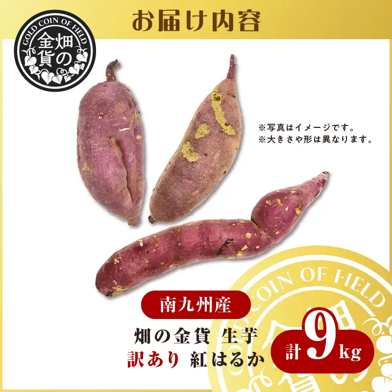 【 訳あり 】 焼き芋 さつまいも 紅はるか 生芋 9kg【畑の金貨】 K181-007