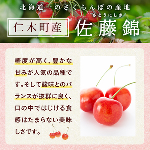 さくらんぼ 600g 佐藤錦 Lサイズ サクランボ