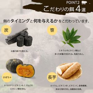 十勝幕別産ブランド放牧豚［どろぶた］お肉詰め合わせセット【 北海道 豚肉 シチュー ひき肉 とんかつ ロース バラ 】 
