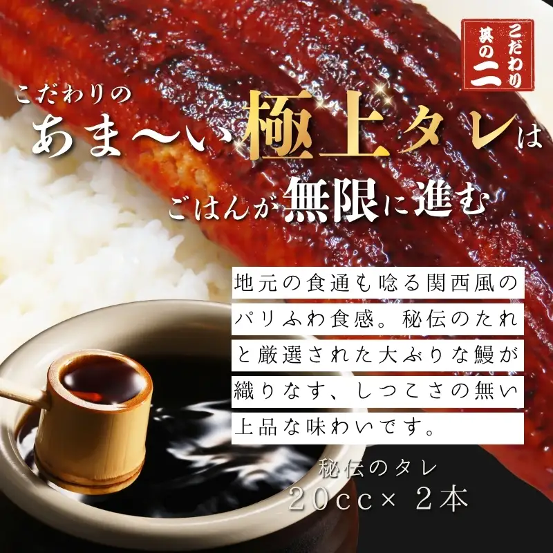 厳選国産うなぎ炭火蒲焼1尾 たれ・山椒付【順次発送】【BM01-tgun001】
