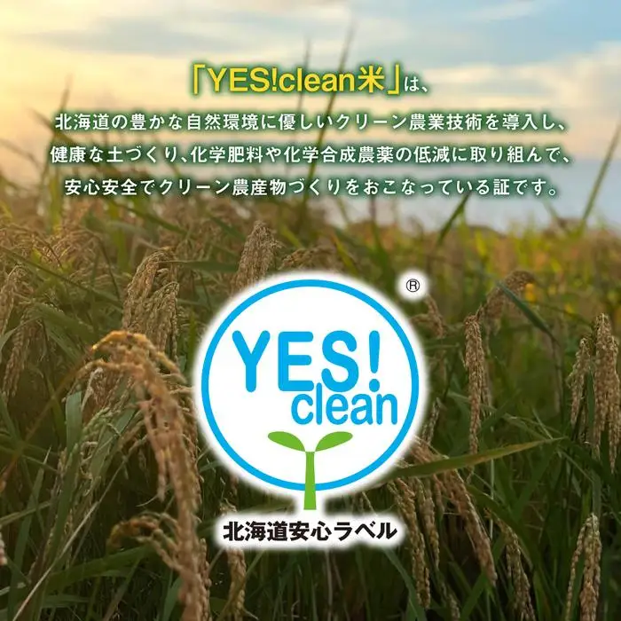 《令和7年産》ななつぼし5kg×2袋（10kg）YES!clean米 | ななつぼし 北海道 限定 _01307