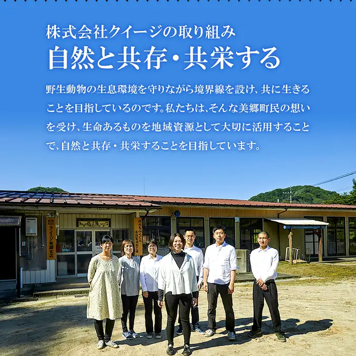 【定期便3回】イノシシ肉 味噌すき鍋セット 約500g