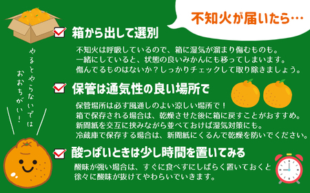 不知火 ≪訳あり≫ 12kg｜味采市場