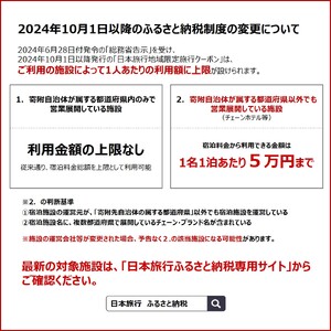 地域限定 旅行クーポン 150,000円分（郵送） 北海道 函館市 日本旅行 函館市内 1泊以上 交通費 現地 旅行 観光 体験 宿泊 クーポン 精算 幅広く 利用 有効期限 5年間 郵送 簡易書留 函館 五稜郭 湯の川 温泉 函館山 送料無料_HD131-005