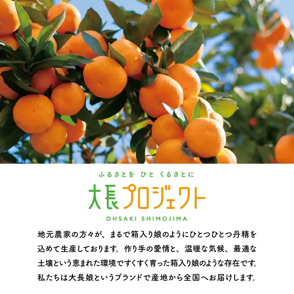 大長娘 100% 蜜柑ジュース 720ml×6本 柑橘 広島県 呉市