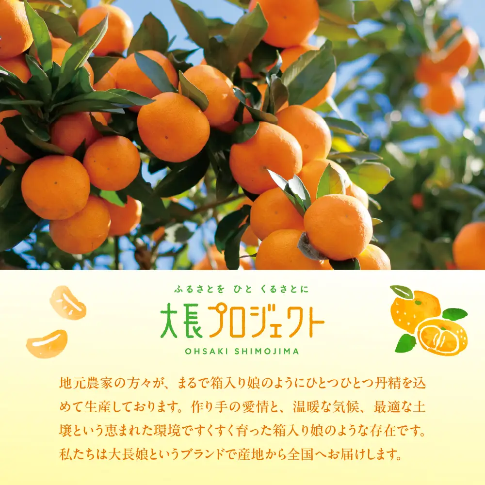 大長娘 100% 蜜柑ジュース 720ml×3本 柑橘 広島県 呉市