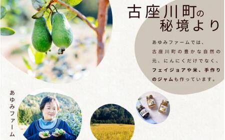 秘境の地からお届けする あゆみファームの訳あり乾燥にんにく １kg【2025年6月中旬以降順次発送】/ にんにく ニンニク 訳あり 予約受付 ガーリック 和歌山【aym005】