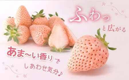 白いちご 淡雪 約500g | 西谷農園