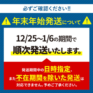 【年末年始発送】白いちご 淡雪 約500g ｜ 西谷農園