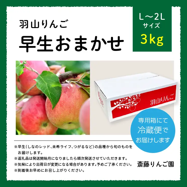 りんご《2026年8月下旬以降順次発送》羽山のりんご 中生おまかせL～2Lサイズ3kg【斎藤りんご園】