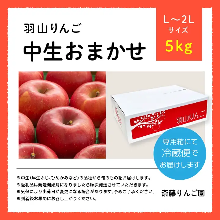 りんご《2026年10月以降順次発送》羽山のりんご 中生おまかせL～2Lサイズ5kg りんご リンゴ 果物 フルーツ【斎藤りんご園】