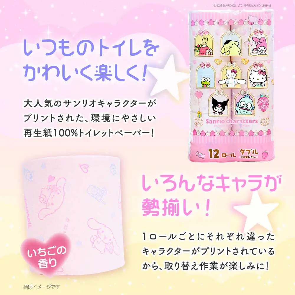 【隔月 全3回定期便】トイレットペーパー サンリオ キャラクターズ ダブル 25m 12ロール×8P VAA086 トイレット