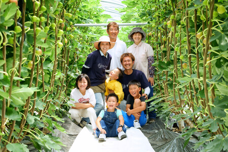 訳あり イチジク ハウスイチジク 冷凍 約1.5kg 【合同会社宝Farm】 