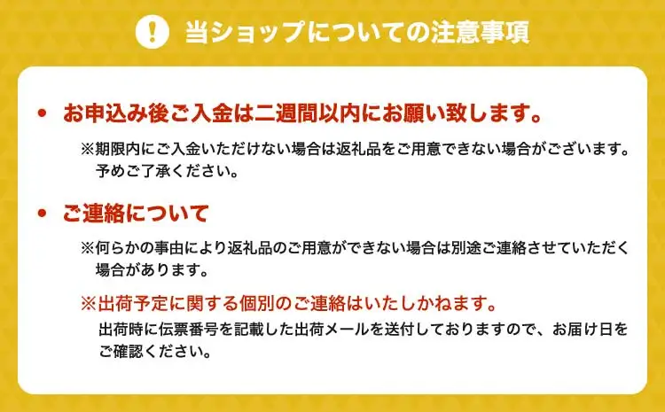 先行予約 令和9年産 熊本最高級新茶 2袋セット【2027年6月中旬〜6月下旬頃順次発送予定】