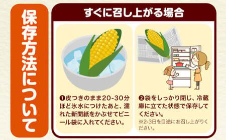 朝採れ とうもろこし おおもの 約5kg (13本入 2L) 七戸宏大 岩手県九戸村