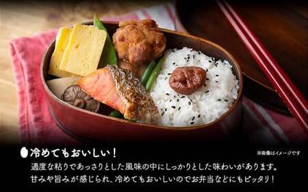 米 いわてっこ 10kg《30日以内に出荷予定(土日祝除く)》 岩手県 九戸村 一等米 精米 白米 お米