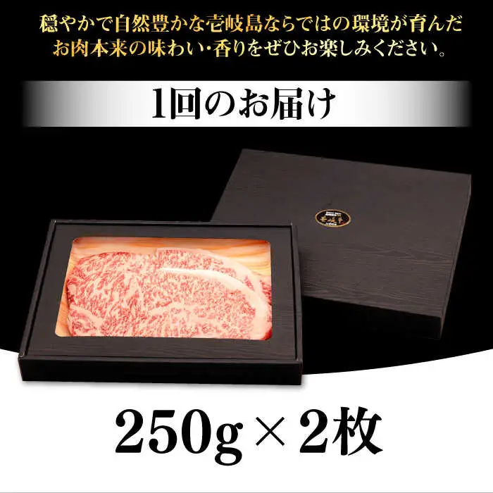 【全2回定期便】 壱岐牛 サーロインステーキ 500g（250g×2枚）《壱岐市》【株式会社イチヤマ】 肉 牛肉 サーロイン ステーキ 焼肉 BBQ [JFE109]