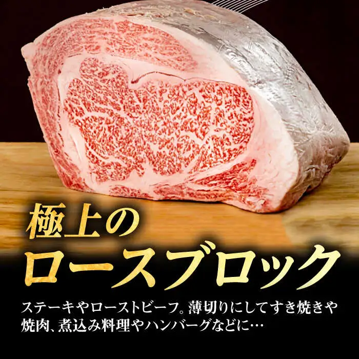 【全2回定期便】 壱岐牛 ロースブロック 1kg（500g×2枚）《壱岐市》【株式会社イチヤマ】 肉 牛肉 ブロック ステーキ BBQ [JFE117]