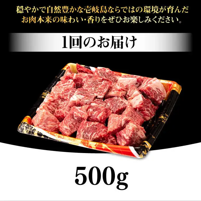 【全2回定期便】 壱岐牛 サイコロステーキ 500g《壱岐市》【株式会社イチヤマ】 肉 牛肉 ステーキ BBQ 焼肉 [JFE118]