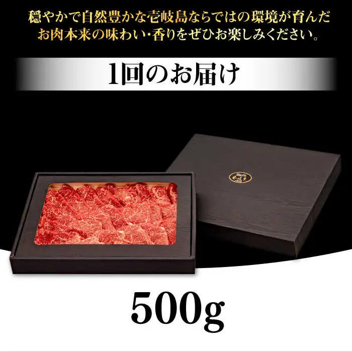 【全2回定期便】 壱岐牛 焼肉用 モモ 500g《壱岐市》【株式会社イチヤマ】 肉 牛肉 焼肉 もも BBQ [JFE124]