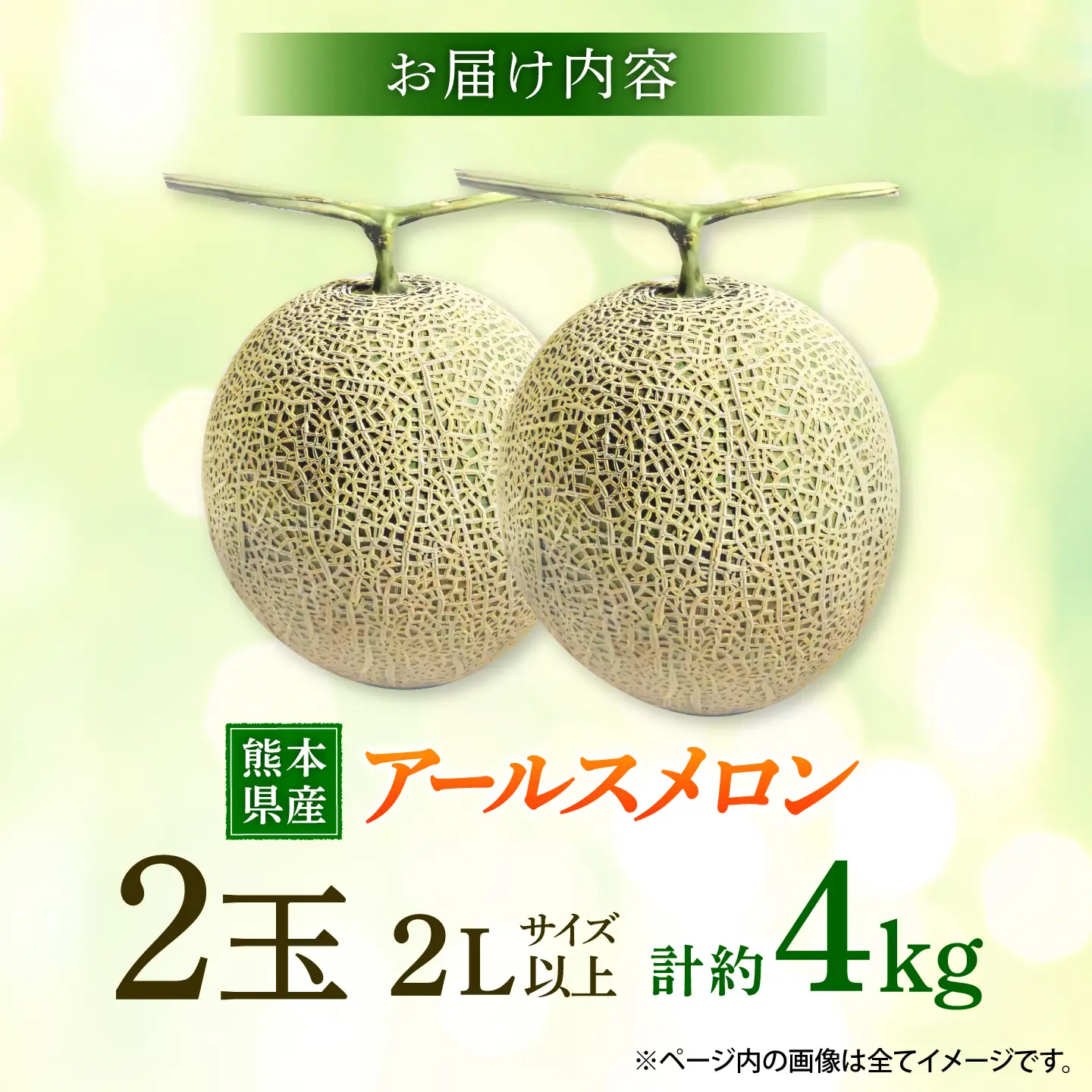 【先行予約】アールスメロン 約4kg（2L?）2玉入【道の駅 水辺プラザかもと】[ZEG001]