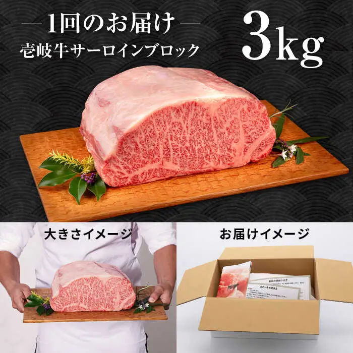 【全2回定期便】壱岐牛 サーロイン ブロック 3kg 《壱岐市》【中津留】 サーロイン ステーキ BBQ 焼肉 牛肉 赤身 [JFS072]