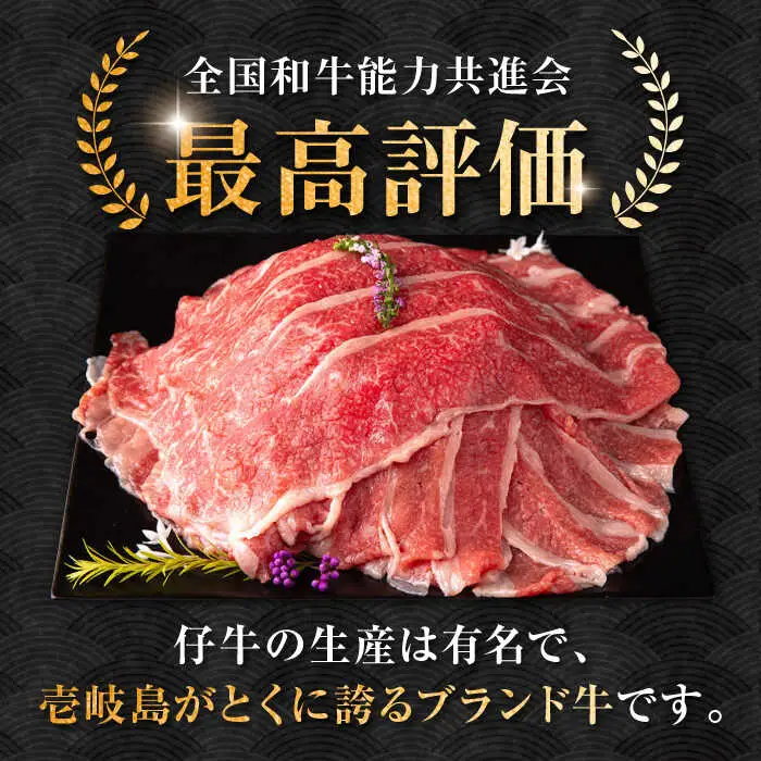 【全2回定期便】壱岐牛 ブリスケ うす切り 500g《壱岐市》【中津留】 すき焼き しゃぶしゃぶ 牛肉 [JFS083]