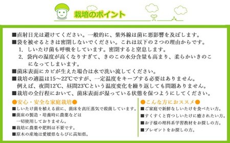 しいたけ栽培キット にょきっと 6個セット