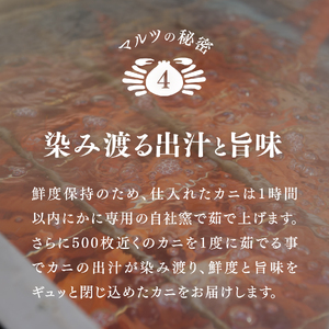 【北海道・沖縄・離島配送不可】蟹屋の釜茹で紅ずわい蟹２杯セット(大) 500～600g×2枚 ベニズワイガニ 紅ずわいがに カニ かに 境港 マルツ ボイルズワイガニ 鳥取県日野町