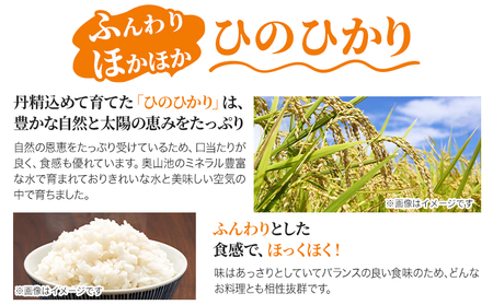 無洗米 8年産 ひのひかり 60kg 太陽の恵み 米