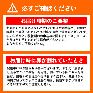 【しゃべくり007で紹介】【定期便】タズミの卵(30個×6ヶ月)044AB01N.／こだわり卵 市川町産 兵庫県産 たまご たまごかけご飯 玉子 生卵 鶏卵 卵　卵焼き TKG 6か月 定期便
