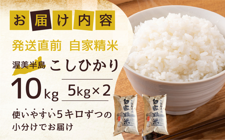 渥美半島産 無洗米 コシヒカリ 10kg 新米 先行予約 米 無洗米 訳あり