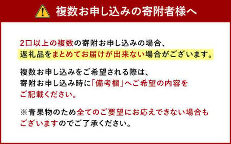 福岡県産 博多 あまおう 約1.12kg（約280g×4パック）【2027年1月下旬～3月下旬発送予定】 ※北海道・沖縄・離島配送不可