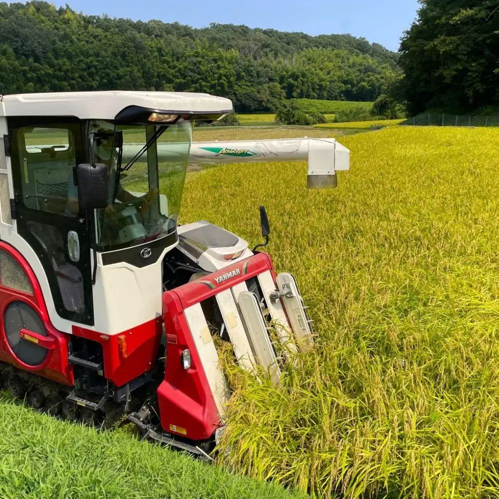 ＜定期便＞【令和8年度】新米 こしひかり（精米）10kg【3ヶ月】鈴鹿山麓の銘水が育てた米l 米どころ 三重県産 小山田地区  小山田米  米 コメ 白米 精米