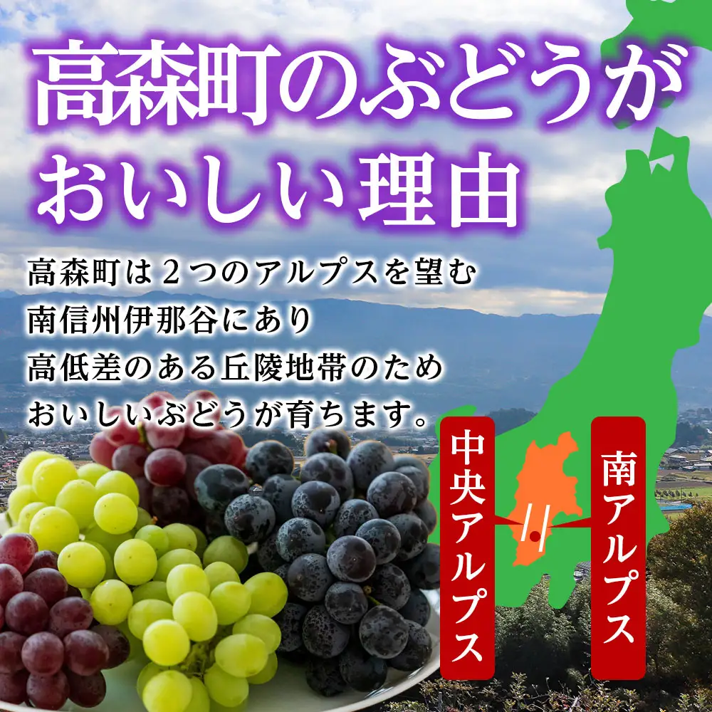 【南信州高森産】シャインマスカット1.2kg＜2026年9月中旬より発送＞
