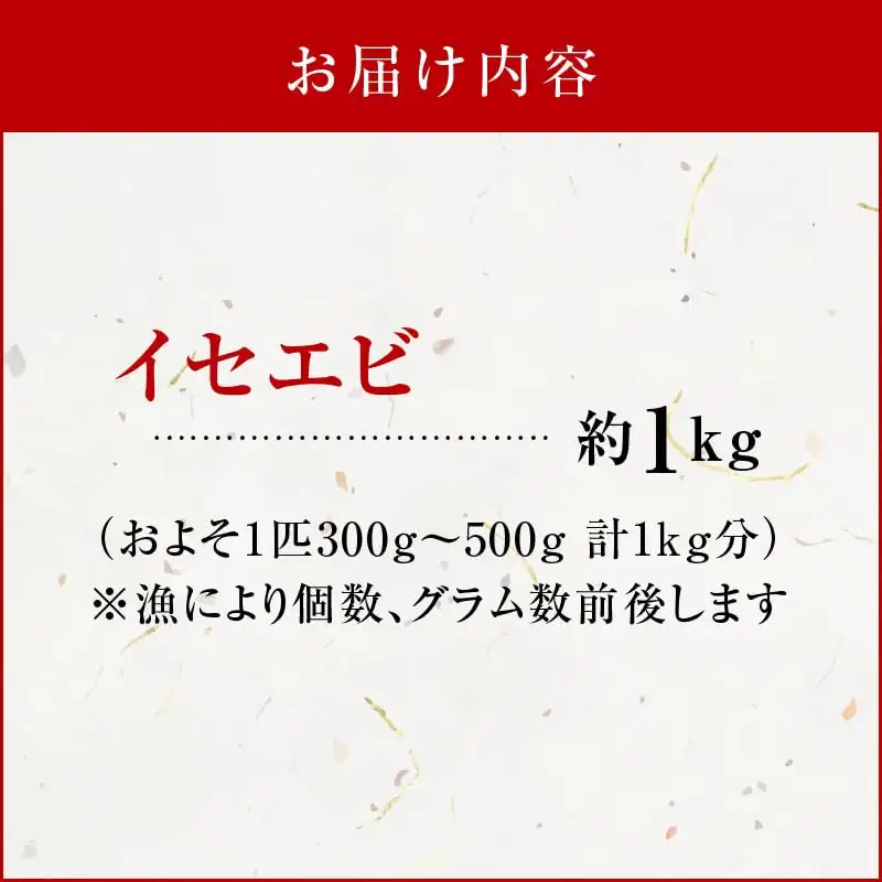 沖永良部島 の 天然 イセエビ 1kg C010-009 魚介類 冷凍 海老 エビ 伊勢海老