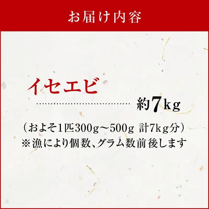 沖永良部島 の 天然 イセエビ 7kg C010-015 魚介類 冷凍 海老 エビ 伊勢海老