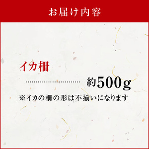 沖永良部島 イカ の 王様 ！ ソデイカ 500g C010-022 魚介類 冷凍 烏賊