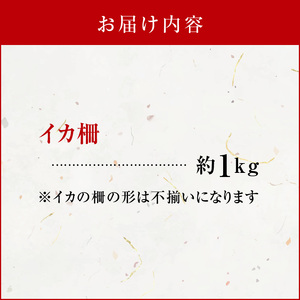 沖永良部島 イカ の 王様 ！ ソデイカ 1kg C010-023 魚介類 冷凍 烏賊