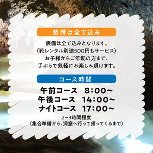 ケイビング （ リムストーンケイブ ） C051-004 自然 体験 洞窟探検