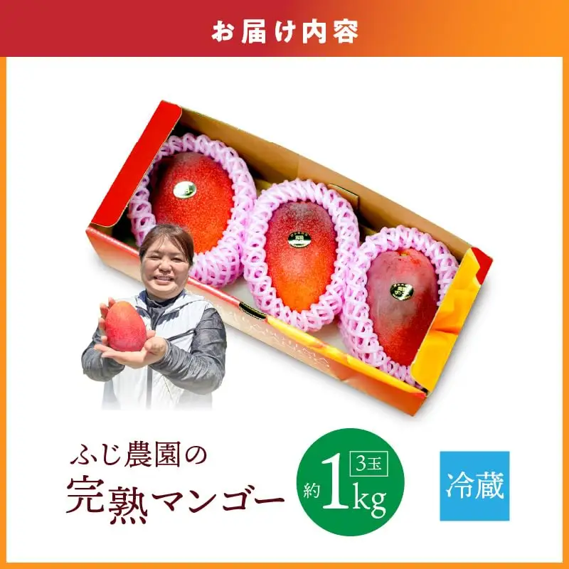 【 2027年先行予約 】ふじ農園の完熟マンゴー 1kg C031-001 マンゴー 完熟マンゴー