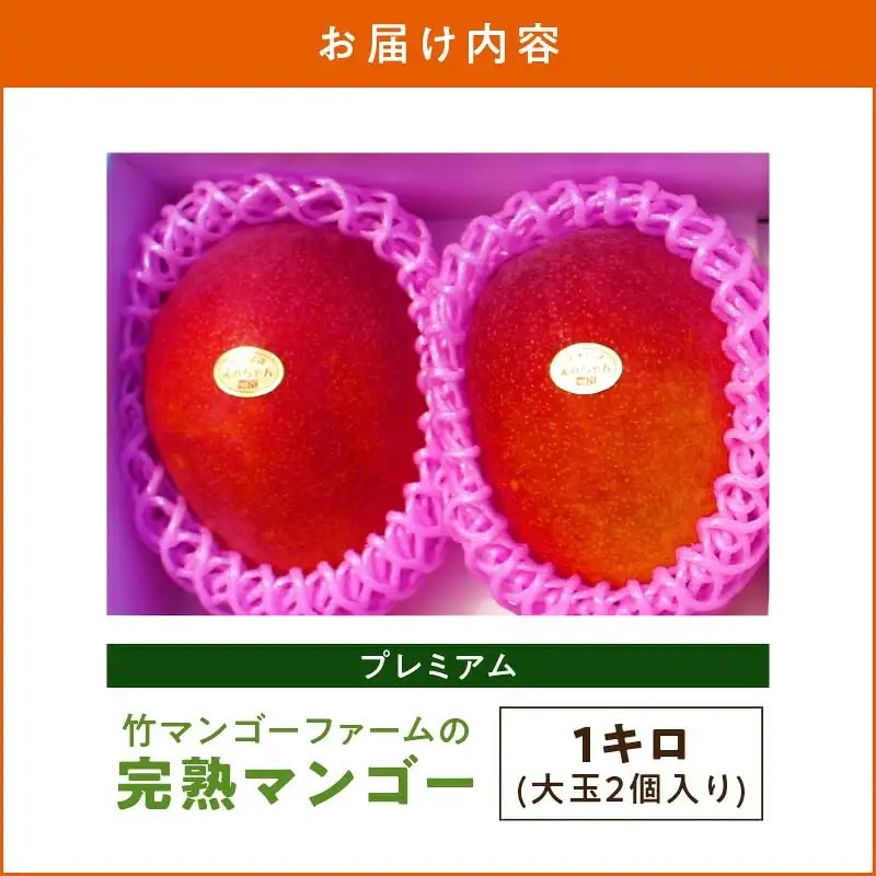 【 2027年先行予約 】竹マンゴーファームのプレミアム完熟マンゴー1キロ（大玉2個入り） C039-003 マンゴー 完熟マンゴー