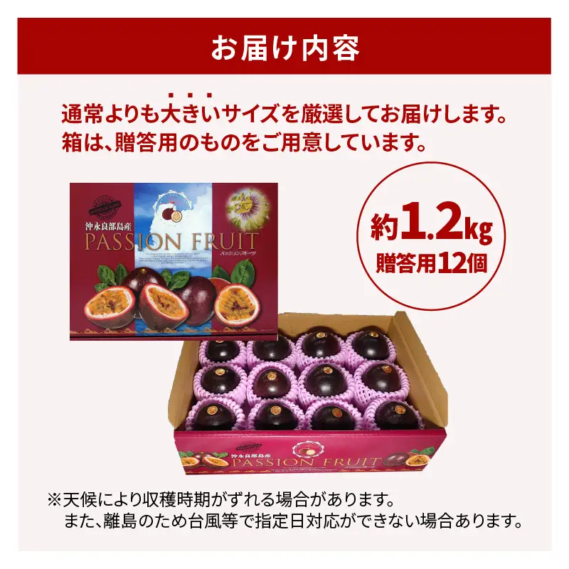 【2027年先行予約】えみちゃん農園 贈答用パッションフルーツ（12個入り） C008-004 パッションフルーツ パッション