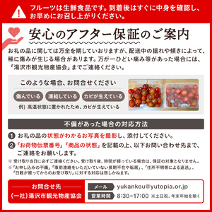 三関産さくらんぼ「佐藤錦」600g 秀2L さくらんぼ 秋田県産 小分け さくらんぼ 佐藤錦 さくらんぼ バラ詰め さくらんぼ フルーツ さくらんぼ【奥山果樹園】[B67-7801]